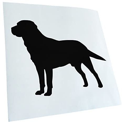 Kiwistar - Autoaufkleber - Schwarz - 13x10cm Labrador Hund Retriever - Heckscheibe Auto Aufkleber wetterfest für Kfz LKW Mofa Truck - Sticker außen selbstklebend Tuning Zubehör für Fenster Fahrzeug