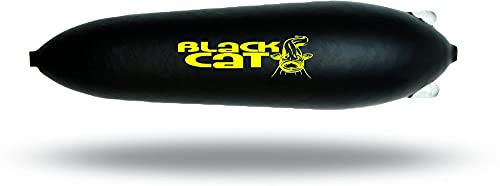 Black Cat
