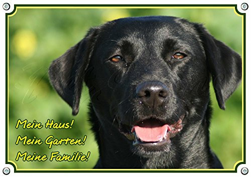 Hundeschild Labrador Retriever - Alu Schild mit Fotodruck - stabil - wetterfest, 1. DIN A5