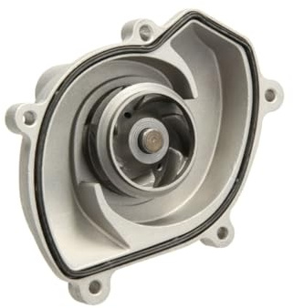 Hepu P690 Wasserpumpe