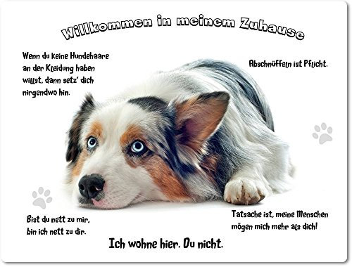 Merchandise for Fans Blechschild/Warnschild/Türschild - Aluminium - 15x20cm - - Willkommen in Meinem Zuhause - Motiv: Australian Shepherd Porträt - 10