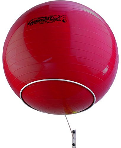 top | vit® Premium Wandhalterung zur Aufbewahrung von einem Gymnastikball I Ø 32cm I Farbe: weiß