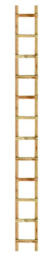 Outifrance 8833030 Echelle de toit en Bois 3,00 m/12 échelons entraxe 25 cm
