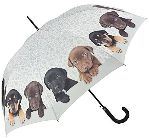 VON LILIENFELD Regenschirm Welpen Quartet Hunde Stockschirm Auf-Automatik Windfest Stabil