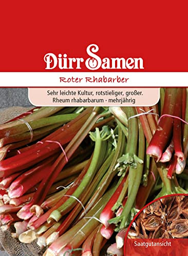 Rhabarber Samen Roter Rhabarbersamen ca 50 Korn Saatgut Mehrjährig Balkon Garten Hochbeet Kübel Dürr Samen