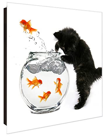 banjado® Großer Schlüsselkasten Glas/Schlüsselbox 30cm x 30cm mit 50 Haken - Motiv Katze Und Fisch/Schlüsselkasten modern für Schlüsselaufbewahrung mit beschreibbarer, magnetischer Glastür