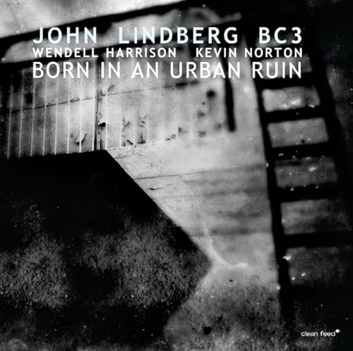 Born in An Urban Ruin