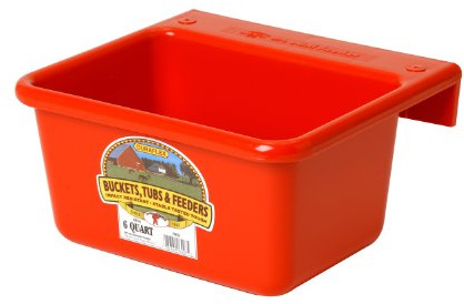 Little Giant® Plastic Mini Feeder | Fence Feeder | Goat Feeder | Durable & Mountable Bucket for Livestock | Made in USA | 6 Quart | Red