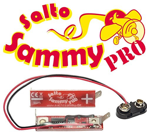Elektronik Gabriel Salto Sammy Pro - Tuning für Looping Louie
