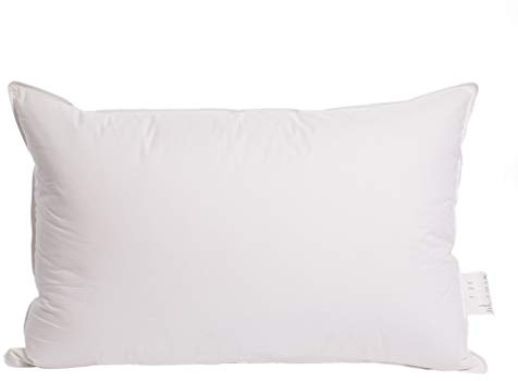 Surrey Down Home White Goose Feather And Down Pillows, 2 Pack
