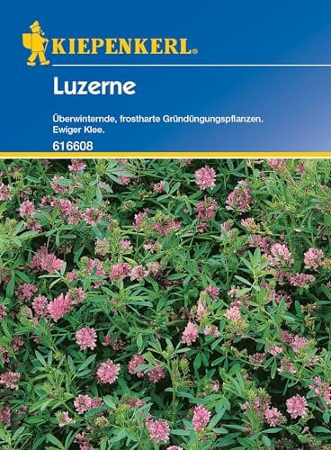Kiepenkerl Gründünger, Luzerne, 50 g,616608 - Überwinternde, frostharte Gründüngungspflanzen - Ewiger Klee - Inhalt für 25 qm - Saatgut, Pflanzen