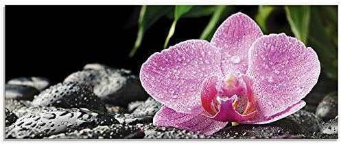 ARTland Wanddeko Glasbilder Wandbild Glas Bild einteilig 125x50 cm Querformat Natur Asien Botanik Blumen Orchidee Steine Zen Entspannung Pink T5OQ