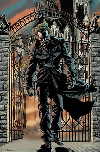 Batman – Arkham Asylum – 55,9 x 86,4 cm zeigt/Poster