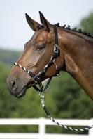 United Sportproducts Germany USG 15000005-601-400 Lederhalfter, schwarz mit grau/ schwarzer Strickeinlagen, Leder unterlegt, silberfarbenen Beschlge, Gr. Pony