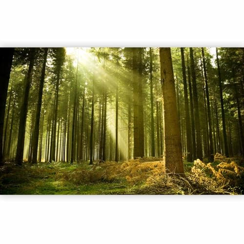 Papier peint murando panoramique moderne 450x270 cm - Revêtement mural décoration pour chambre salon cuisine - Design unique et moderne - Gris beige vert jaune - Arbres forêt paysage 100603-15