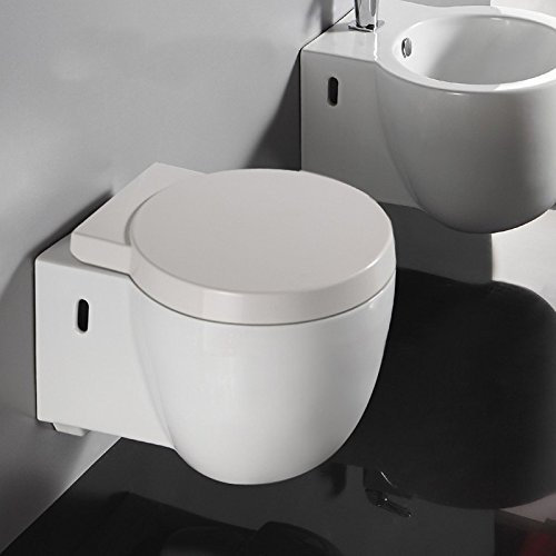 WC Suspendu Compact, 50x40 cm, Blanc, avec Abattant, Charm