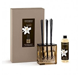 Neroli - Estéban Diffuser 250 ml Bouquet parfumé Triptyque, Raumduft Boukett