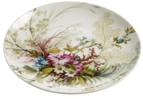 Maxwell & Williams WK02520 Teller – 20 cm – Kilburn – Bone China Porzellan – Glanz bunt, Geschenkbox – Ocean Fantasy
