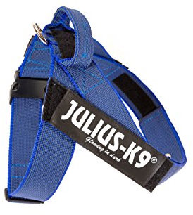 Julius-K9, IDC Color & Gray Belt Harness, Size: 2XL / 3, Blue-Gray