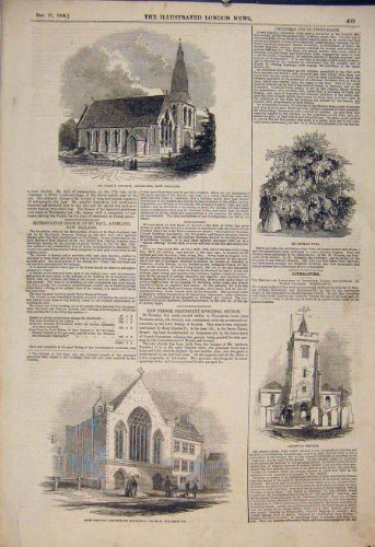 original old antique victorian print Arbre de Noël d'Auckland Bloomsbury Chiswick d'Église 1845