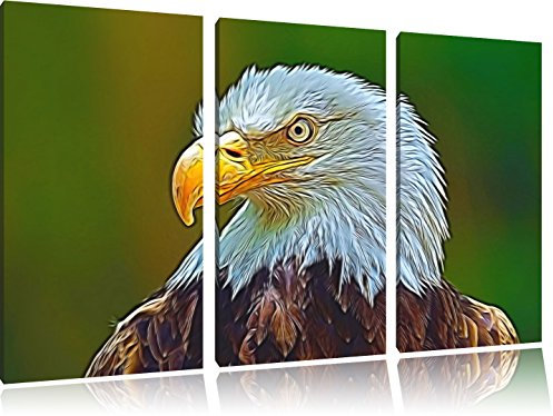 giovane falco con gli occhi gialli, tela immagine pittura su tela 120x80, Immagini XXL completamente incorniciato con grandi cornici di cuneo, stampe d'arte su murale con telaio, più economico di quadri o foto, senza poster o manifesto