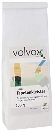 Volvox