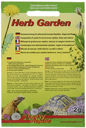 Lucky Reptile Herb Garden Mélange de graines