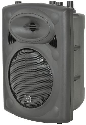 80W Active Speaker with Built-In Amplifier and Input Section