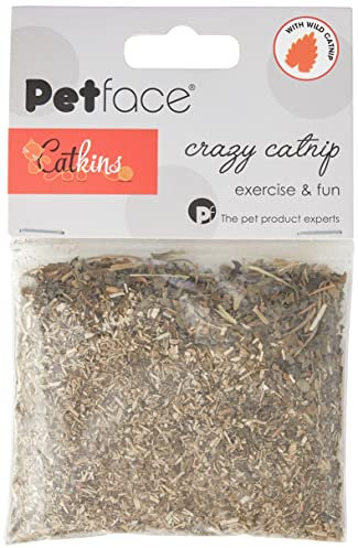Petface (Catkins by Petface) Crazy Catnip Natural Wild Catnip, 15 g
