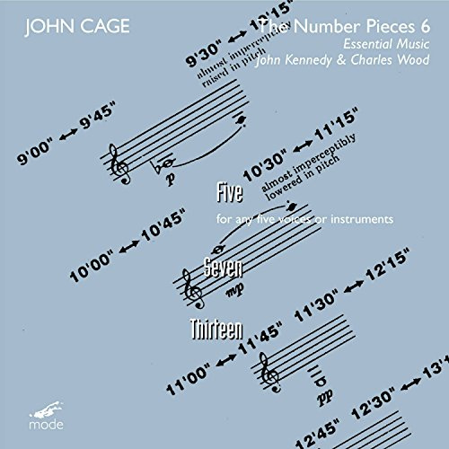 Cage: Number Pieces 6: Five - Seven - Thirteen