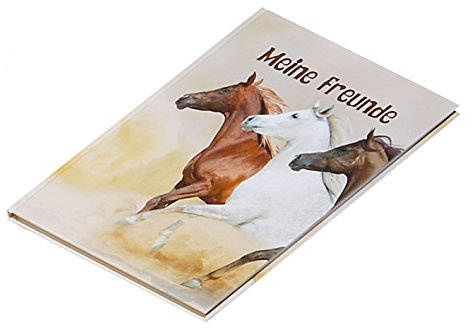 Pagna 20343-15 Freundebuch Wildpferde 60S