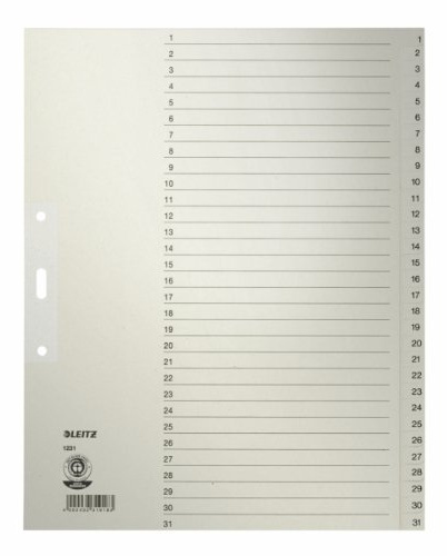 10 x Leitz Register A4 1-31 100g/qm grau