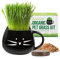 The Cat Ladies Katzengras Kit (Bio) mit Keramik Katzen Pflanzgefäß - Saatgut und Erde - Katzengras Samen mit Schale - Cat Grass für Katzen - Snack Samen Set - Katzenpflanzen
