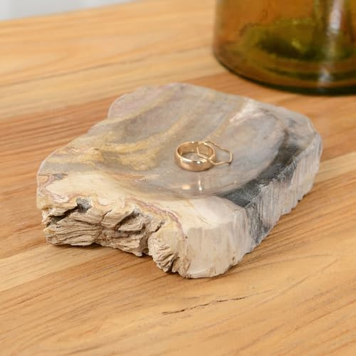 wohnfreuden Schale aus fossilem Holz braun 10 cm - Holzablageschale Naturfarben