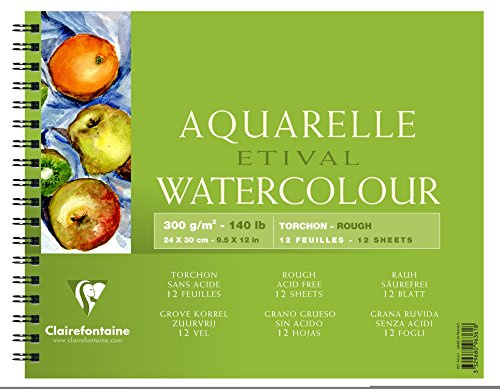 Clairefontaine 96361C Malblock, mit Doppelspirale Aquarellpapier Grobkorn-Torchon, Etival/Zellulose, 24 x 30 cm, 12 Blatt, 250 g, weiß