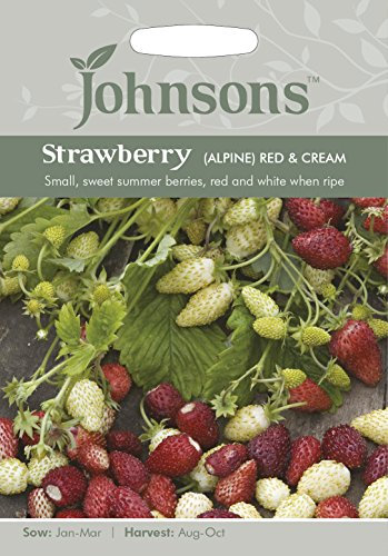 Johnson's 19383 Vegetable Seeds, Strawberry (Alpine) Red & Cream
