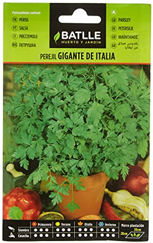 Semillas Batlle Perejil GIGANTE DE ITALIA