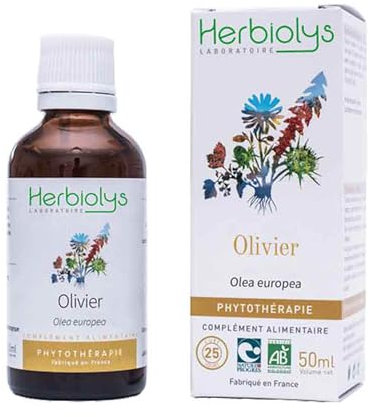Herbiolys | Extrait De Plantes Fraîches Bio | Olivier (Olea europaea) | Circulation | Phytothérapie Bio | 50 ml