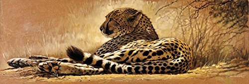 Renato Casaro Poster/Kunstdruck Little Rest 99 x 34 cm