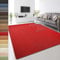 Floordirekt 100% reines Sisal - Sisalteppich - Teppich für Wohnzimmer - Naturfaser - Läufer (Rot, 200 x 240 cm)