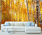 StickersWall Autumn Birch Tree Forest Leaves Nature Landscape Wall Mural Photo Wallpaper Picture Self Adhesive 1020 (342cm(W) x 242cm(H))