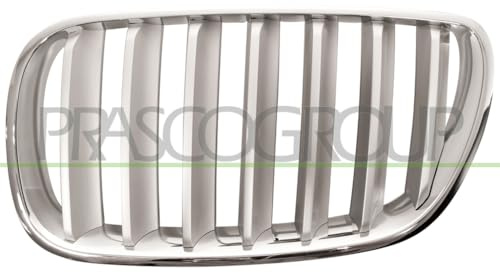 PRASCO Kühlergitter BM8032014 links | Kompatibel mit: BMW X3