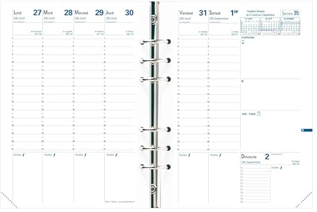 Quo Vadis 200004q Timer 21 gleiten Refill fr S/F 15 x 21