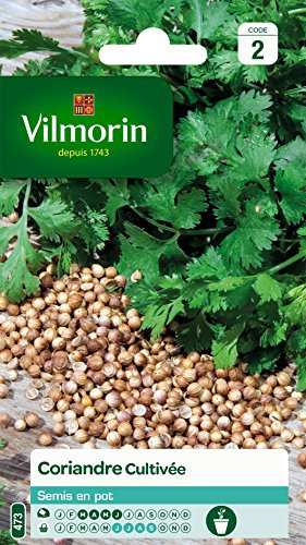 Vilmorin 5875046 Pack de Graines Coriandre Cultivée