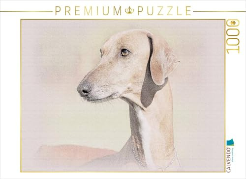 CALVENDO Puzzle Azawakh | 1000 Teile Lege-Größe 64 x 48 cm Foto-Puzzle für glückliche Stunden
