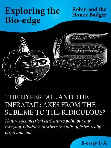 THE HYPERTAIL AND THE INFRATAIL: AXES FROM THE SUBLIME TO THE RIDICULOUS? (E-essays: Exploring the Bio-edge Book 1)