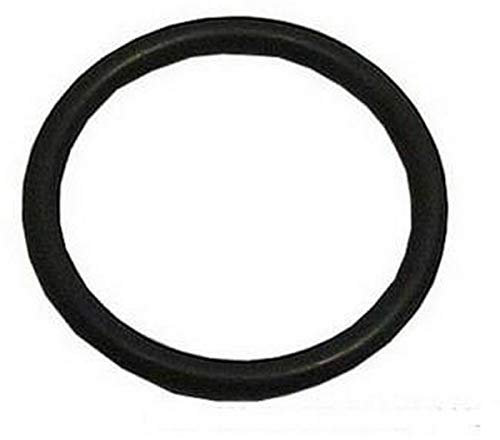 Lavastoviglie Indesit O Ring Seal