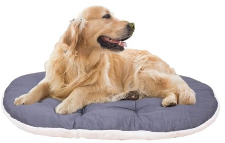 FERPLAST Hundebett Groß - Hundebett Waschbar - Hundekissen - Matte für Hundehütten, Zwinger und Auto - Hundebett Flauschig - Relax - 100 x 63 CM, XL, BEIGE