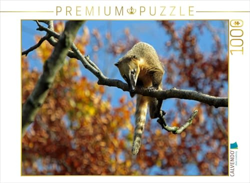 CALVENDO Puzzle Südamerikanischer Nasenbär | 1000 Teile Lege-Größe 64 x 48 cm Foto-Puzzle für glückliche Stunden