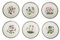 Portmeirion Giardino Botanico Soup Bowl, Vari Motivi - Set di 6, Dia.20cm
